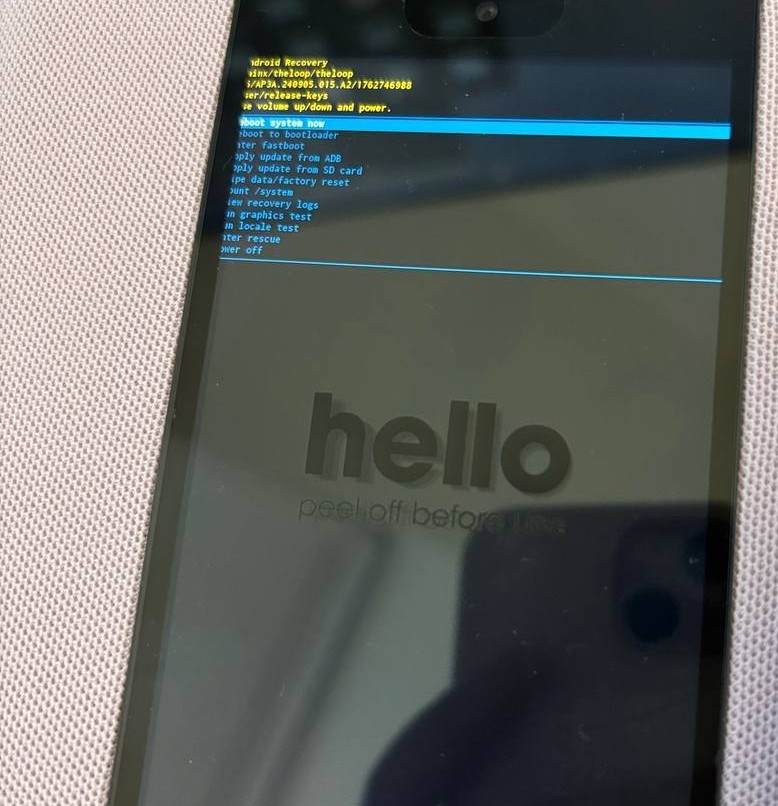 Image of loop in recovery mode